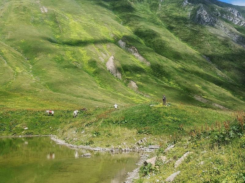 🇬🇪