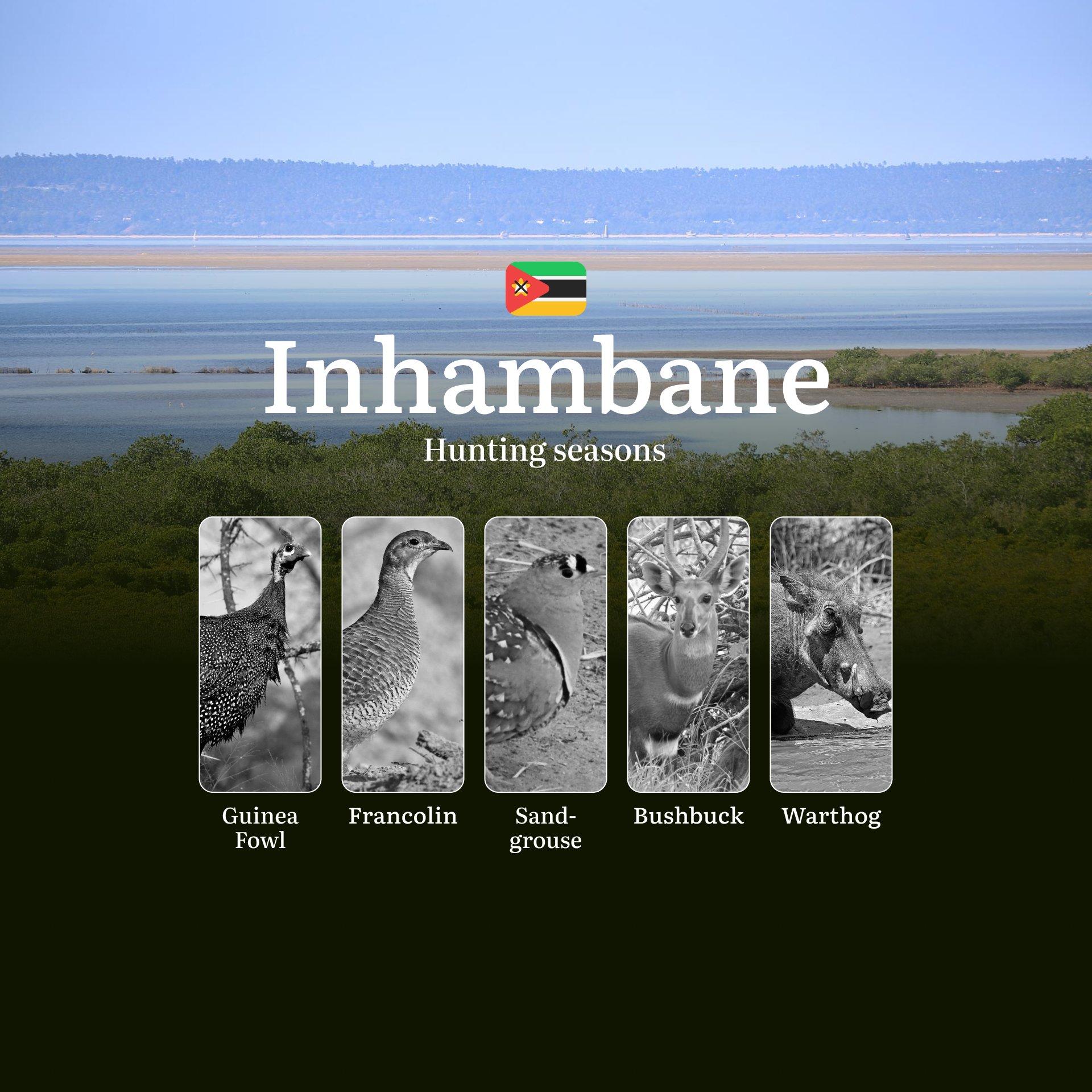 The Forgotten Frontier: Ethical Hunting Calendar in Inhambane's Miombo Woodlands and Riverine Forests