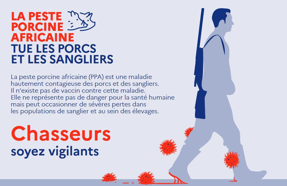 La peste porcine africaine génère pas mal de mouvement dans les ministères concernés en Europe depuis quelques temps ce qui peut laisser penser que la maladie reprend du poil de la bête.