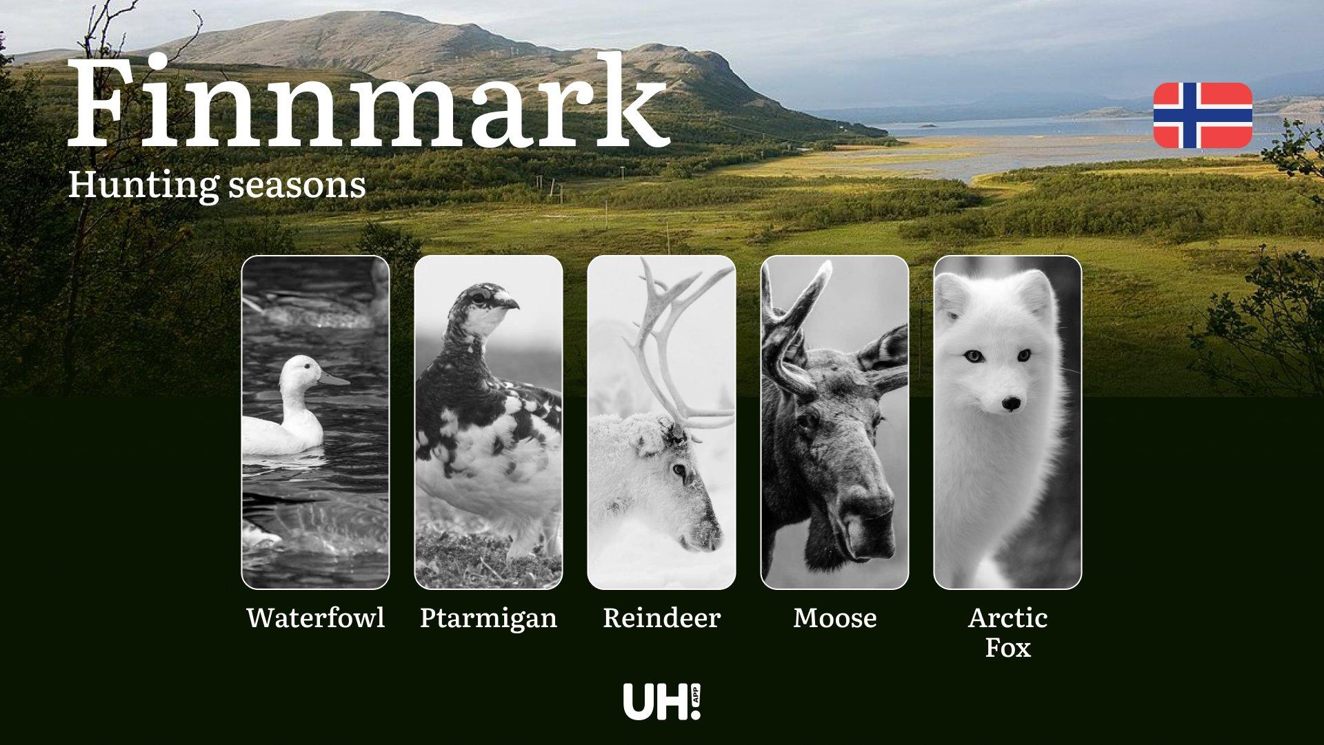 Hunting Periods and Local Rules in Finnmark: Species You Can Hunt Throughout the Year, Seasonal Activity of Game, and the Steps to Get a Legal Hunting License in the Region