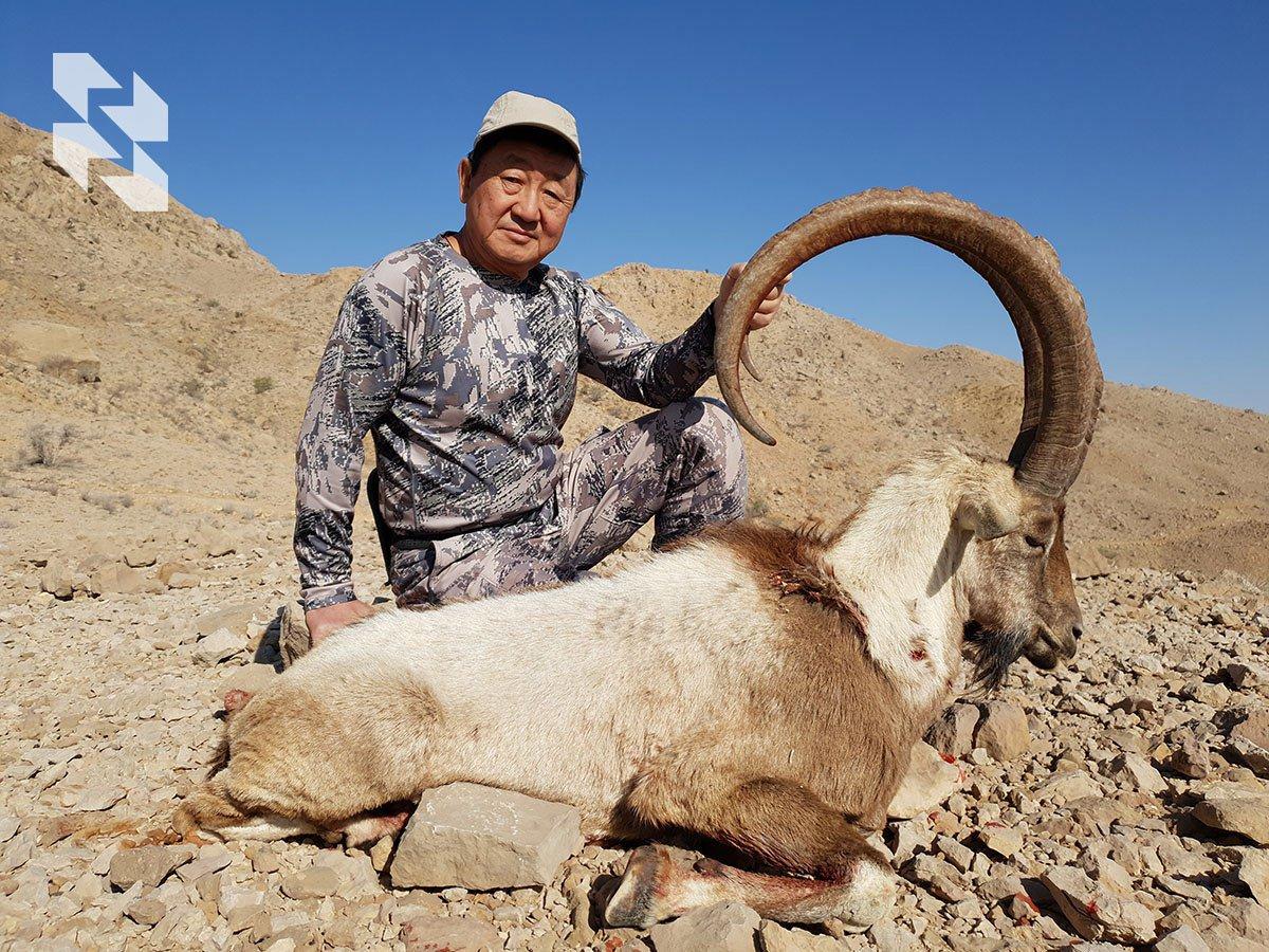 Asian rarities from 🇵🇰 Pakistan