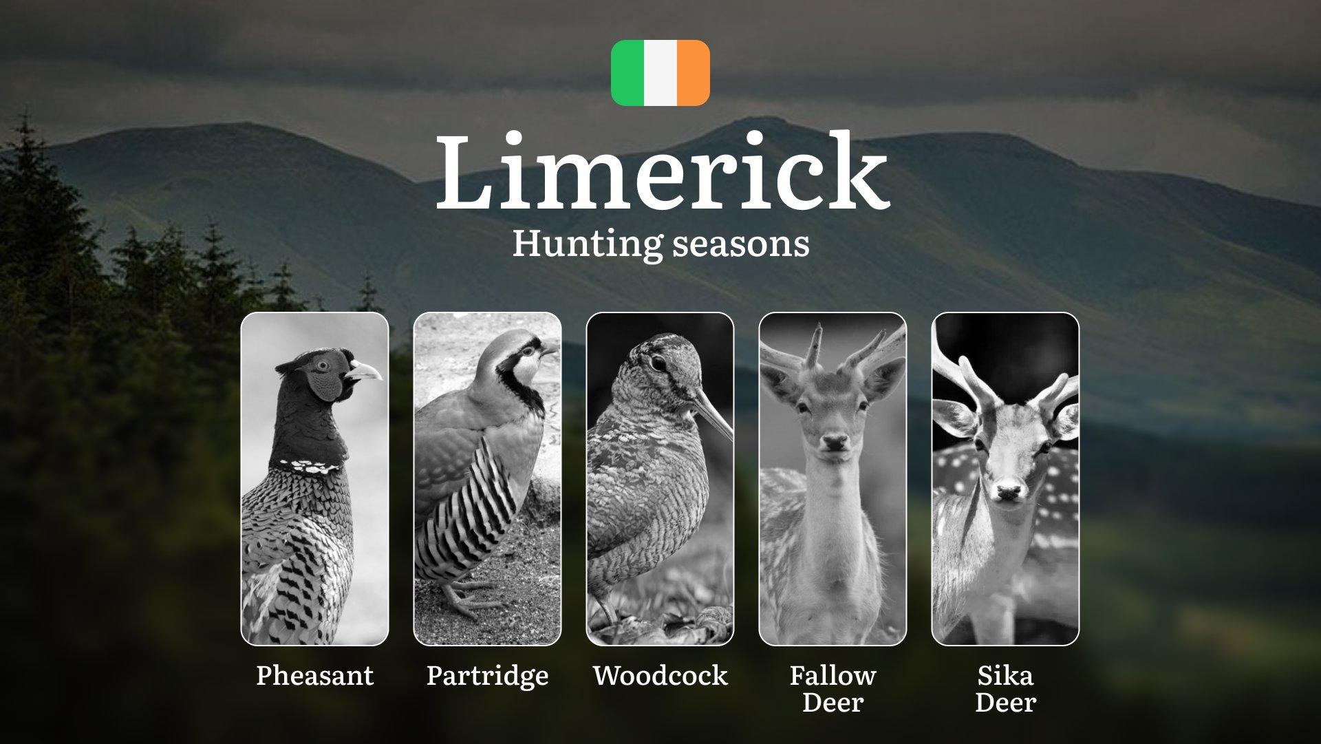 Chasing the Wild Pulse: A Hunter’s Insight into Seasonal Rhythms, Rules, and Rewards in County LIMERICK