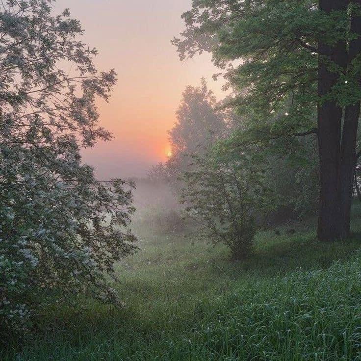 Hazy Mornings ⛅️