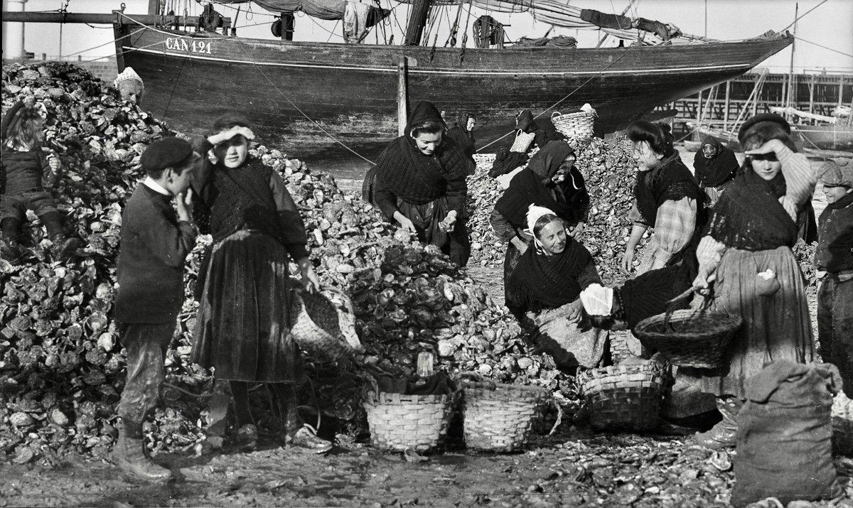 Oyster hunting and sorting in 19th-century France was an essential maritime and culinary practice that reflected both the country’s deep gastronomic traditions and the evolving dynamics of coastal economies.