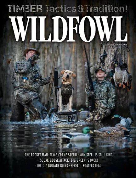 Wildfowl