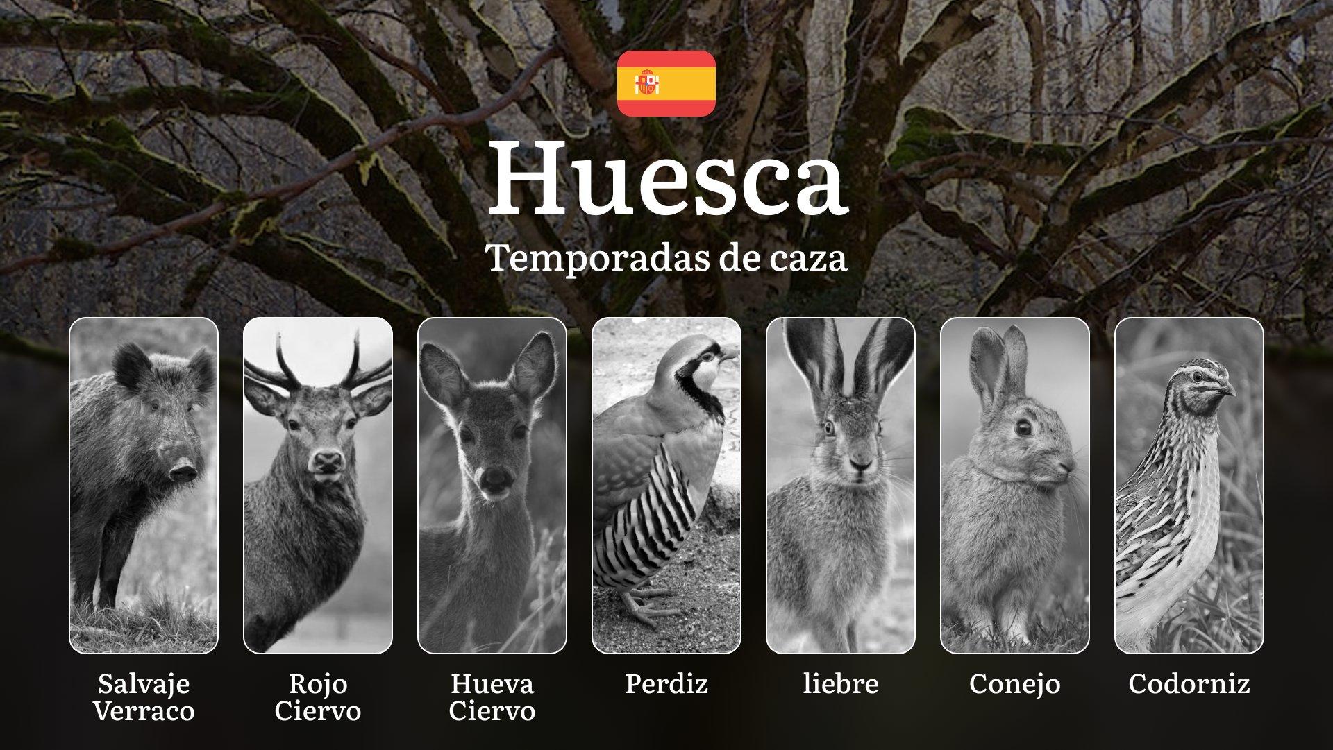 Temporadas y períodos de caza en HUESCA: Fechas, Normativas y Épocas Ideales para la Práctica Cinegética