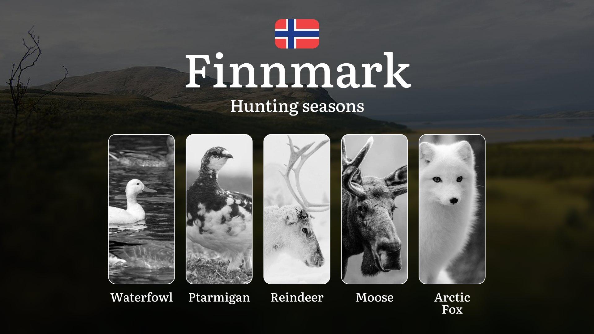 Hunting Periods and Local Rules in Finnmark: Species You Can Hunt Throughout the Year, Seasonal Activity of Game, and the Steps to Get a Legal Hunting License in the Region