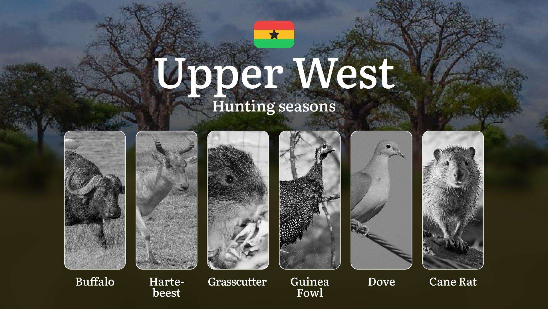 Hunting Calendar in Upper West: The Thrill of Hunting Events and Traditions, Legislation & General Hunting Rules and Permits