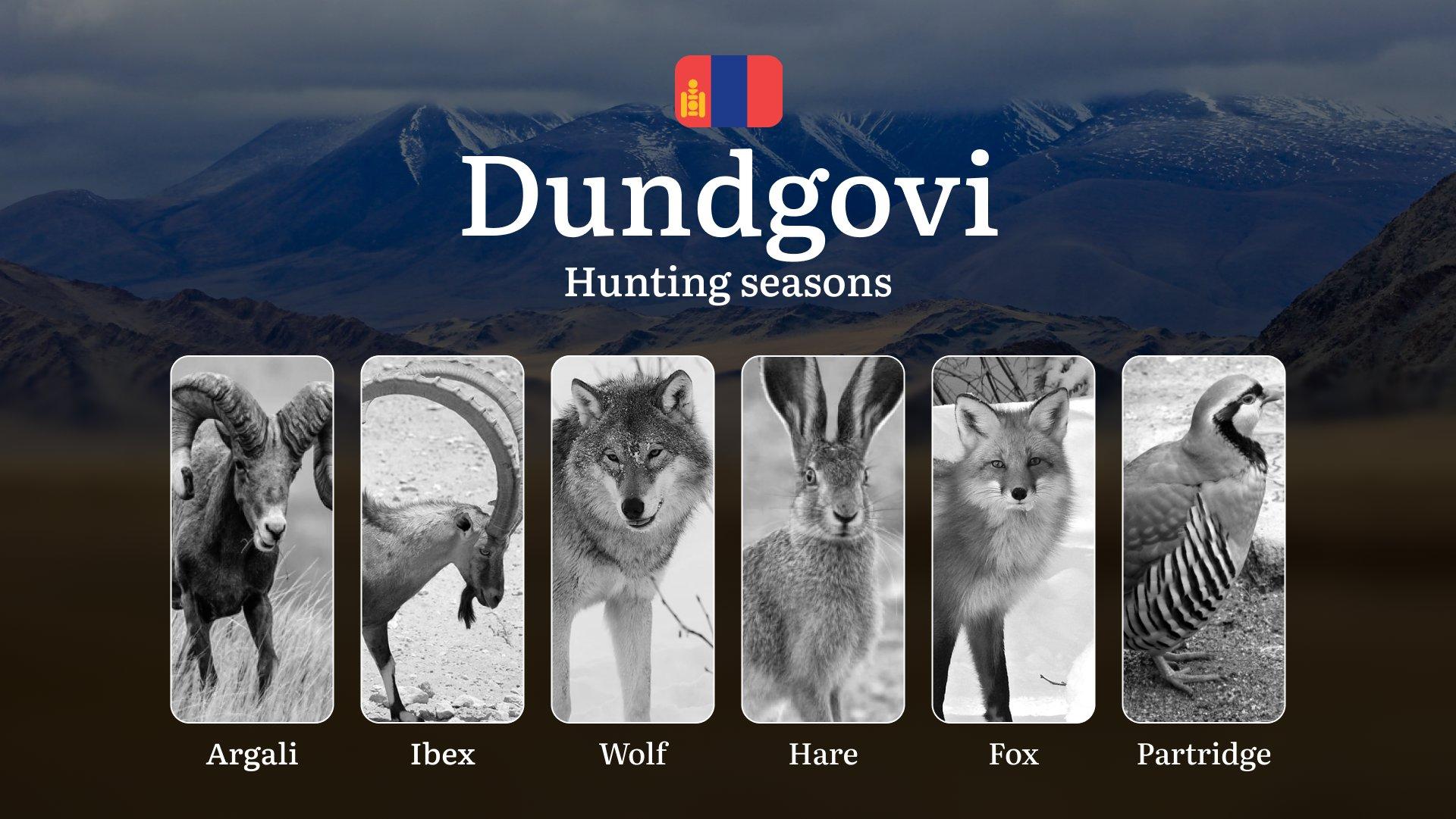 Hunting Periods and Permits in Dundgovi Province: A Detailed Look at Game Movement Throughout the Year, Seasonal Limits, and How to Apply for a Hunting License in the Area