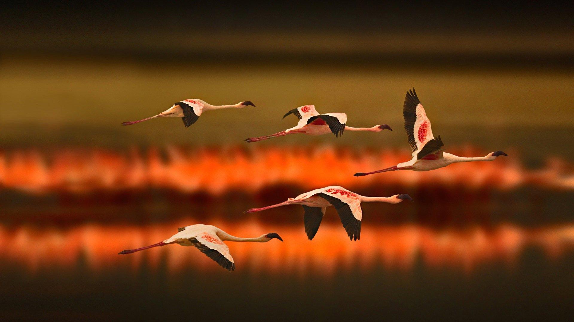 Ten of the world's best hunting destinations