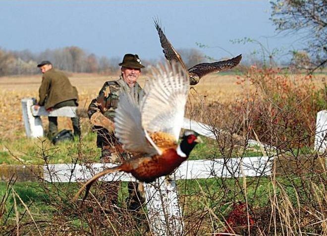 Vlastnosti slovenského poľovníctva
