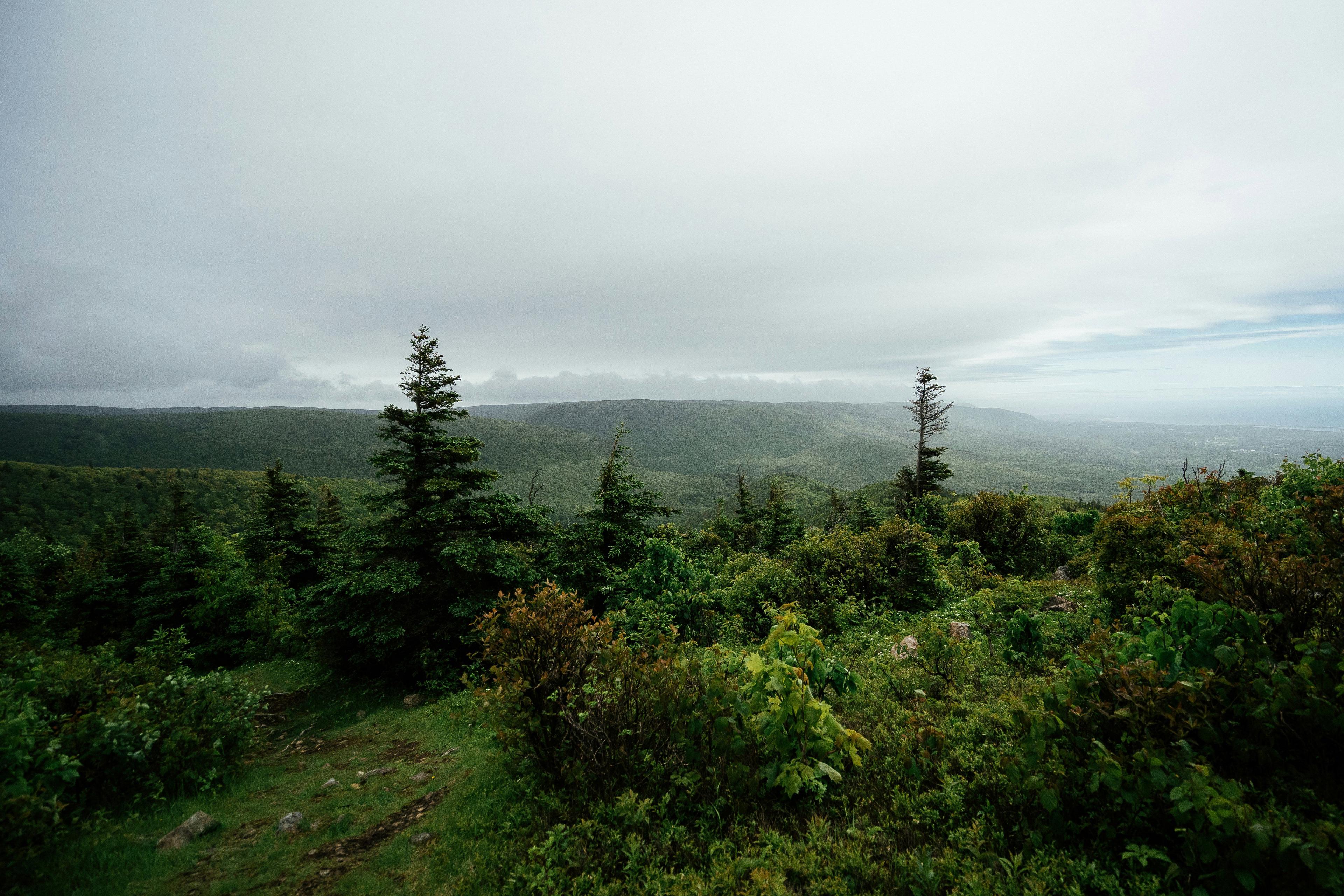 Hunting in the CAPE BRETON Region: Discover the Local Wildlife and Hunting Seasons of the Area, Laws and Clubs