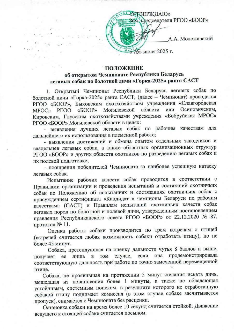 Чемпионат «Горка-2025»: главное событие для легавых собак и их владельцев в Беларуси