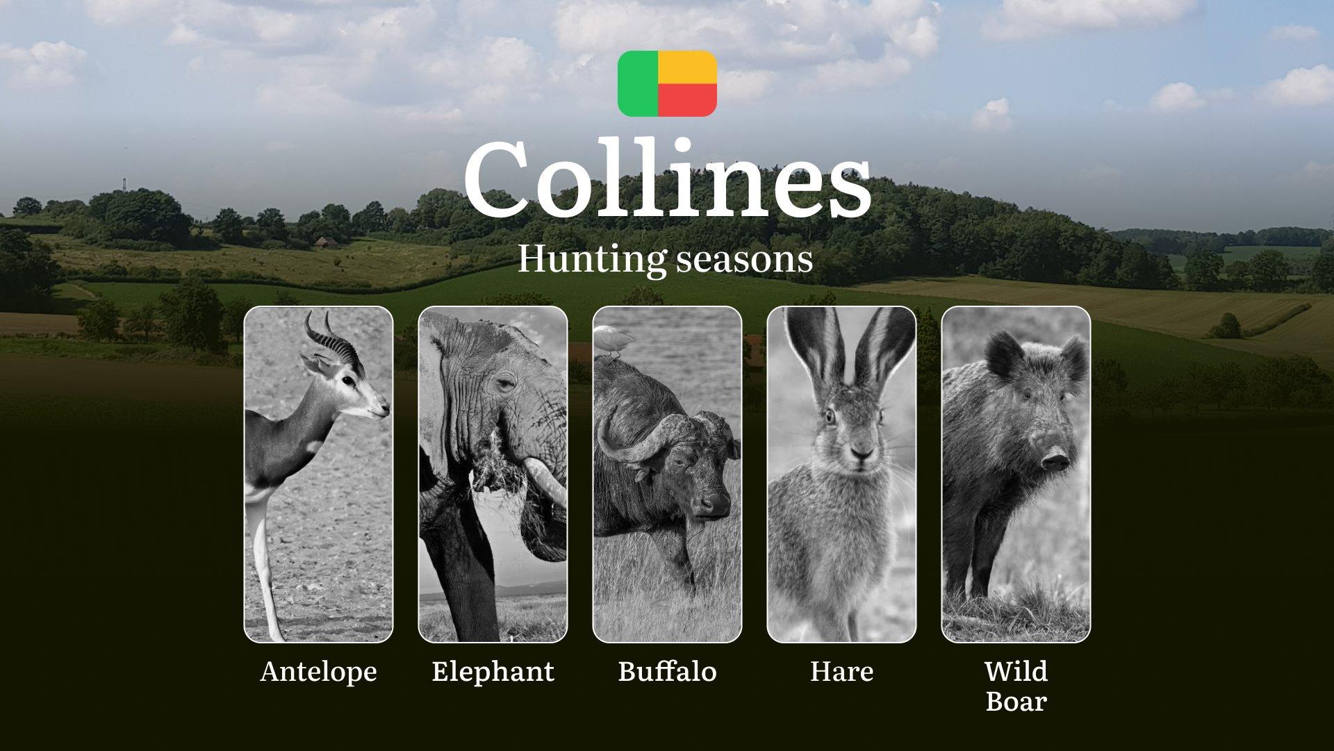 Hunting Seasons in Benin’s COLLINES Region: Hunting Periods, Licenses, Rules, Dates and Times for Hunting