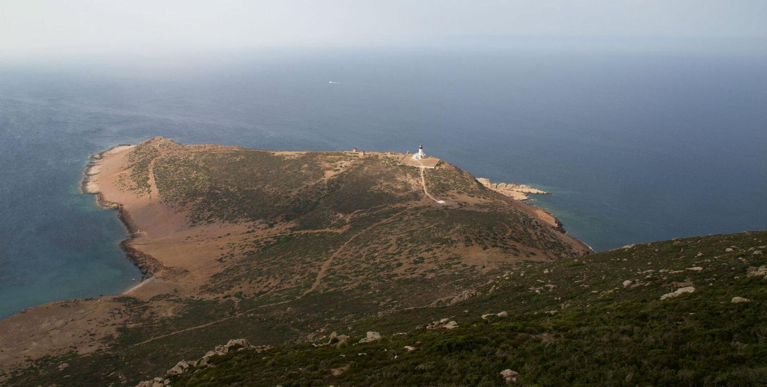 Hunting in ZAGHOUAN: Hunting Communities, Laws and Geography, Demographics of Hunting Communities of Tunisia
