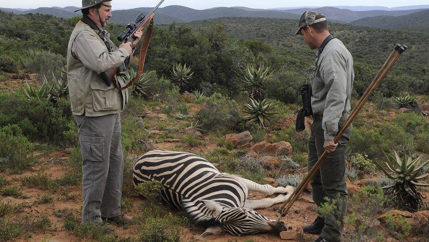 Un vétérinaire harcelé sur les réseaux sociaux après avoir tué des animaux pendant un safari-chasse en Afrique