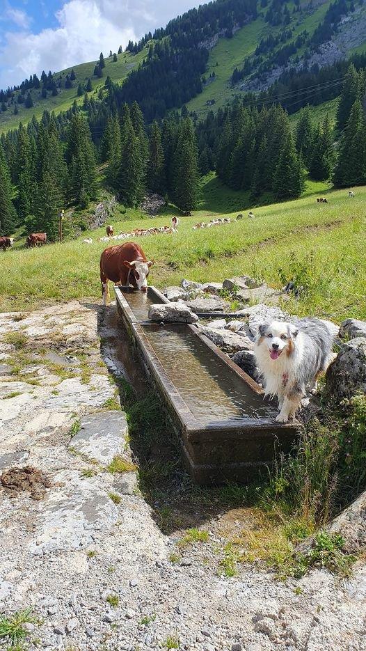 Avec mes copines du grand bornand 🐮😁