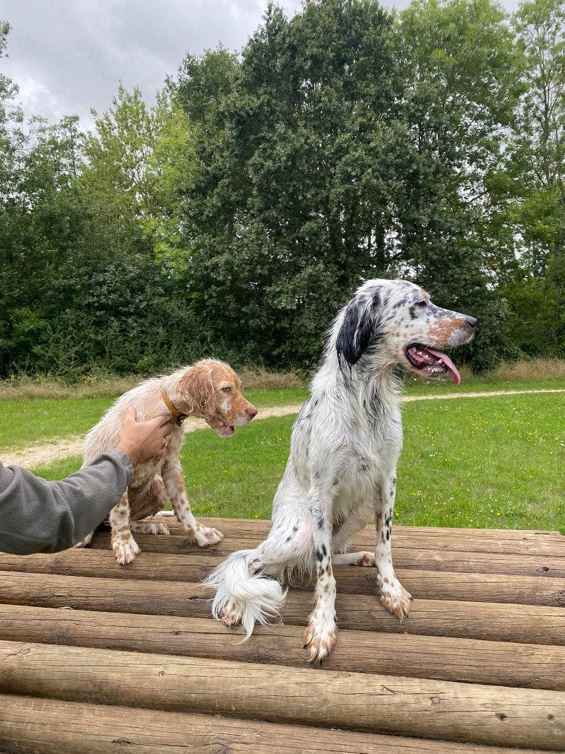 Superbe balade en compagnie du jeune Ulysse 🥰😍