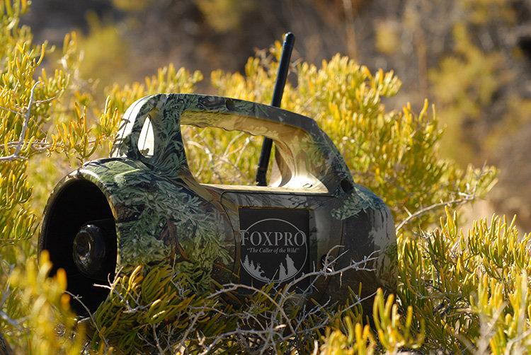 PREDATOR HUNTING—HOW TO GET STARTED THE EASY WAY