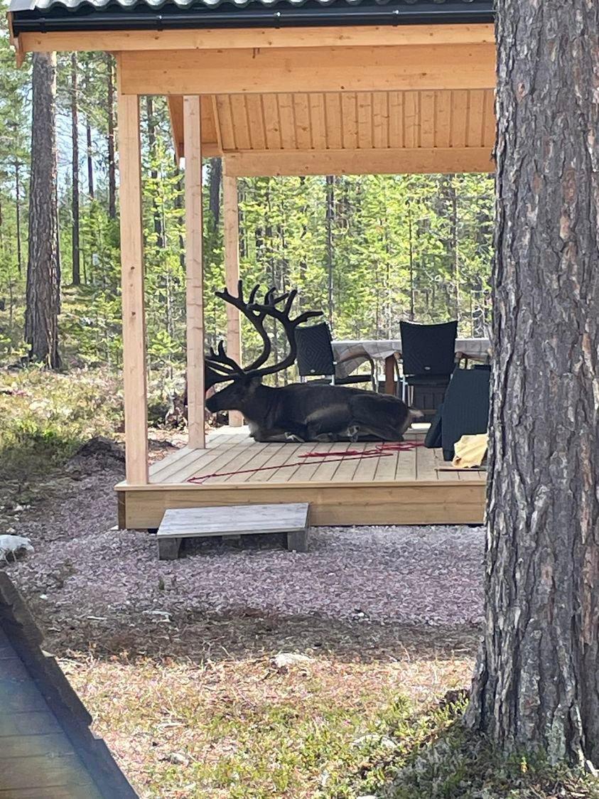I would have a heart attack...