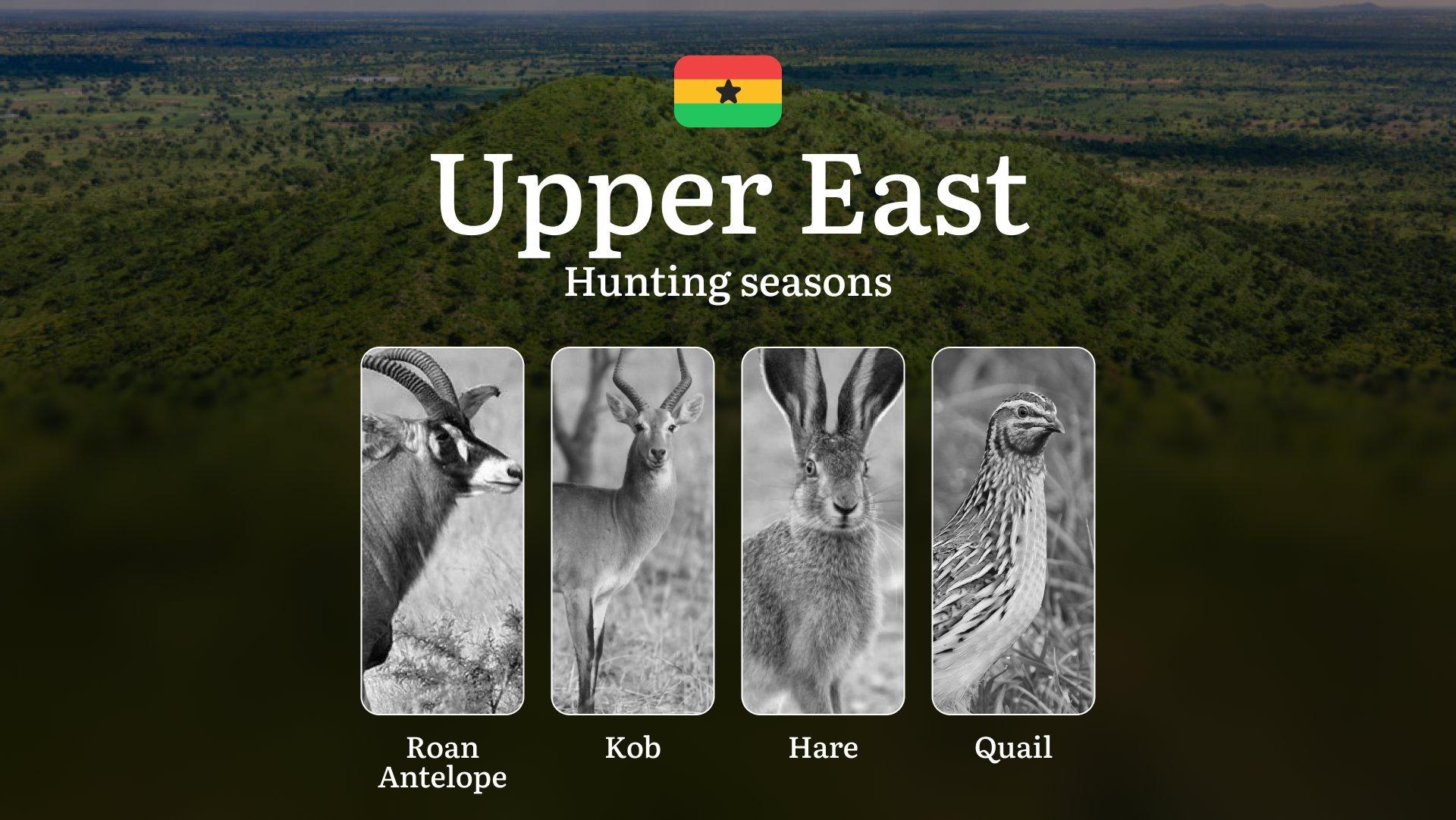 Hunting Calendar in Upper East: The Thrill of Hunting Events and Traditions, Legislation & General Hunting Rules and Permits