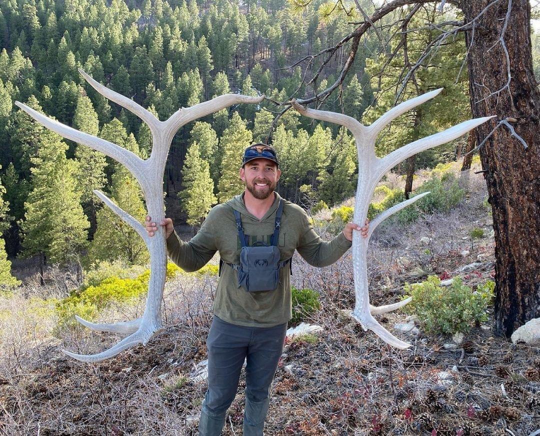Not your average 6 point bull elk!