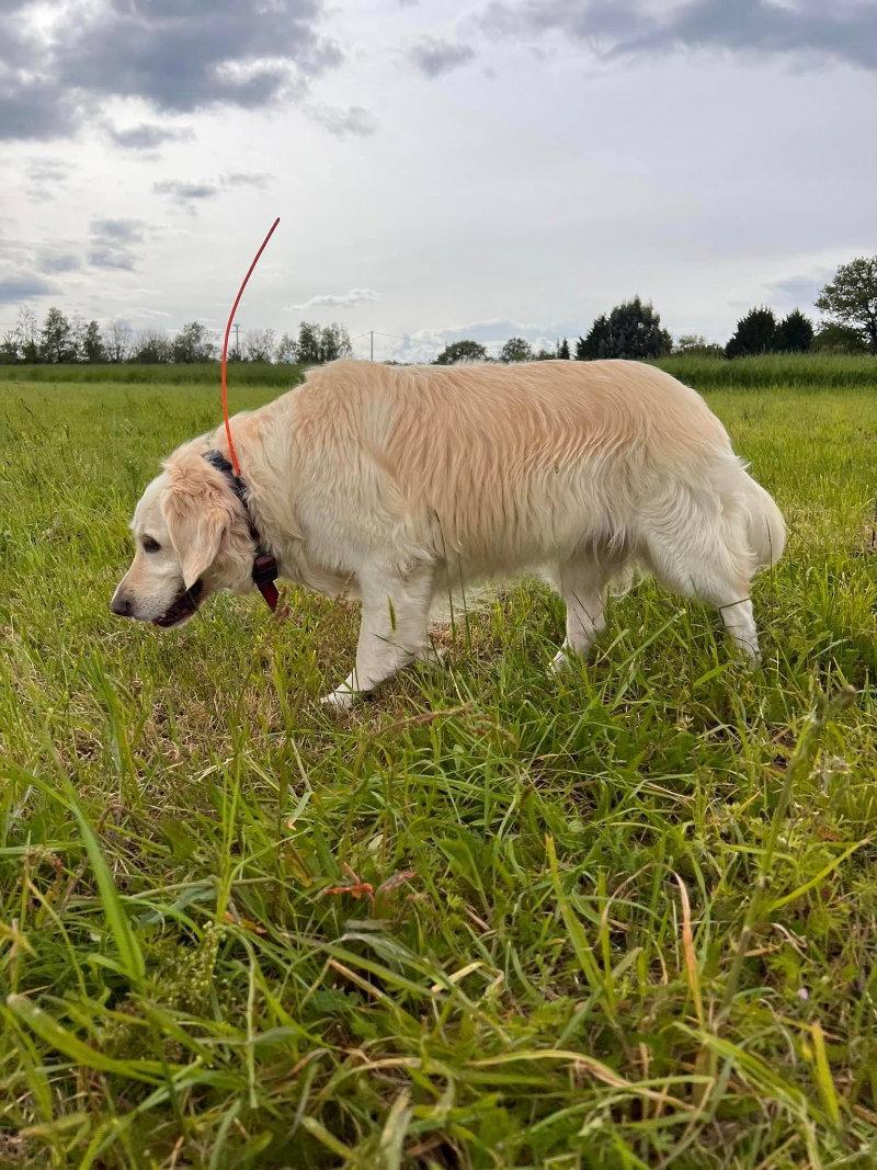 Découvrez le GPS Rog Hunting !