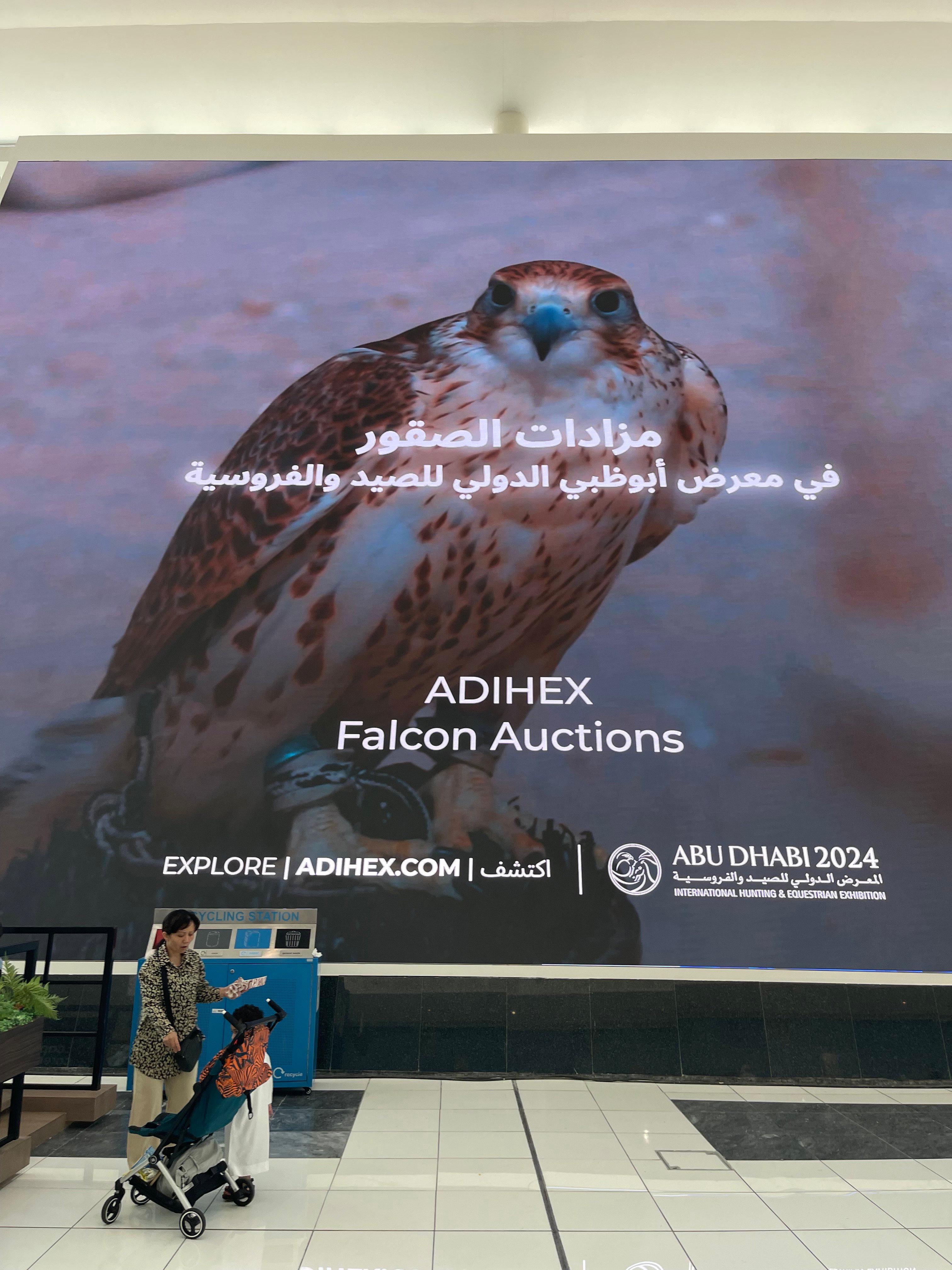 ADIHEX: Middle East's Premier Hunting and Equestrian Event.