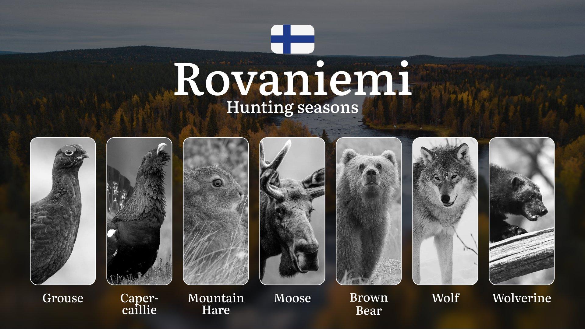 Hunting Seasons in ROVANIEMI: Opening & Closing Dates, Required Licenses, Key Regulations and Restrictions