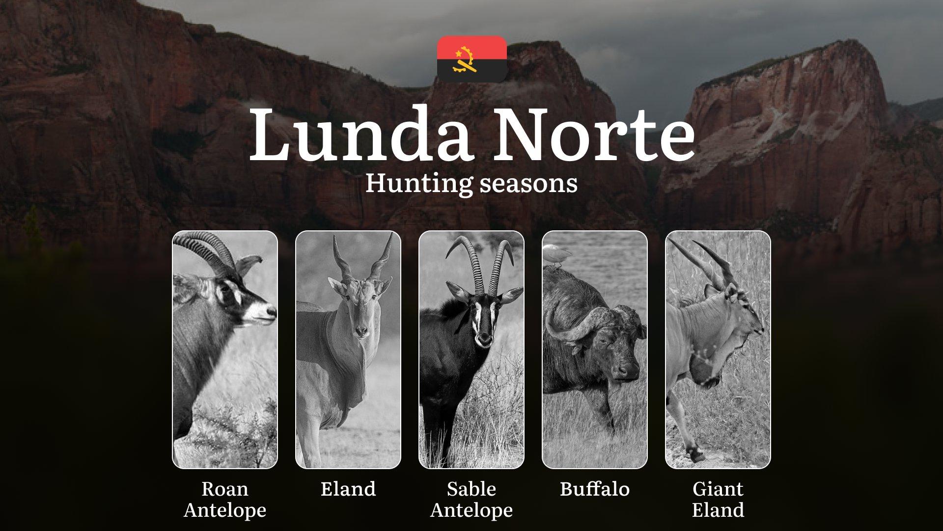 Hunting Through the Seasons in Lunda Norte: Rules, Permits & Cultural Events and Traditions