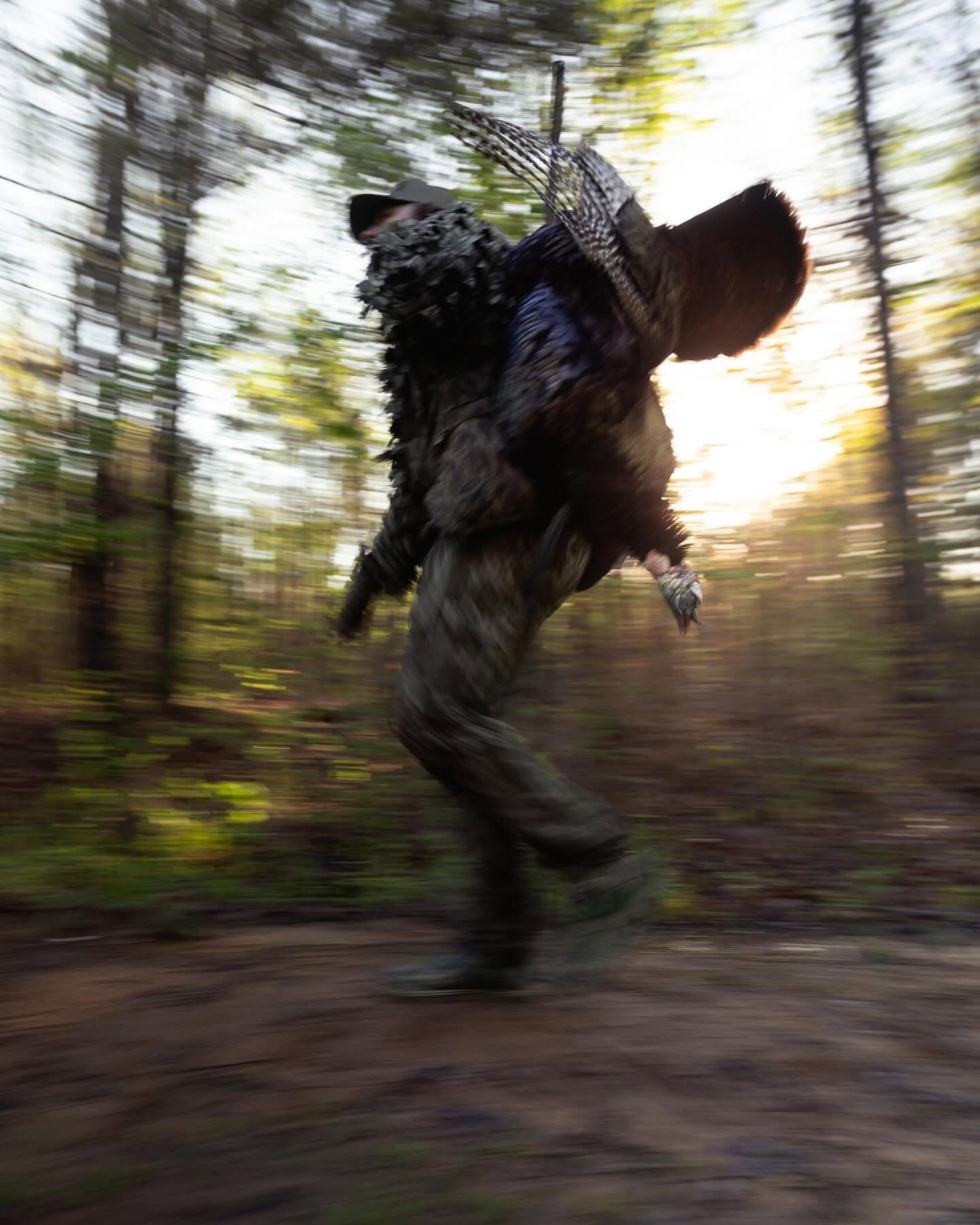 The final echoes of duck season fade into silence, leaving behind empty skies and quiet marshes.