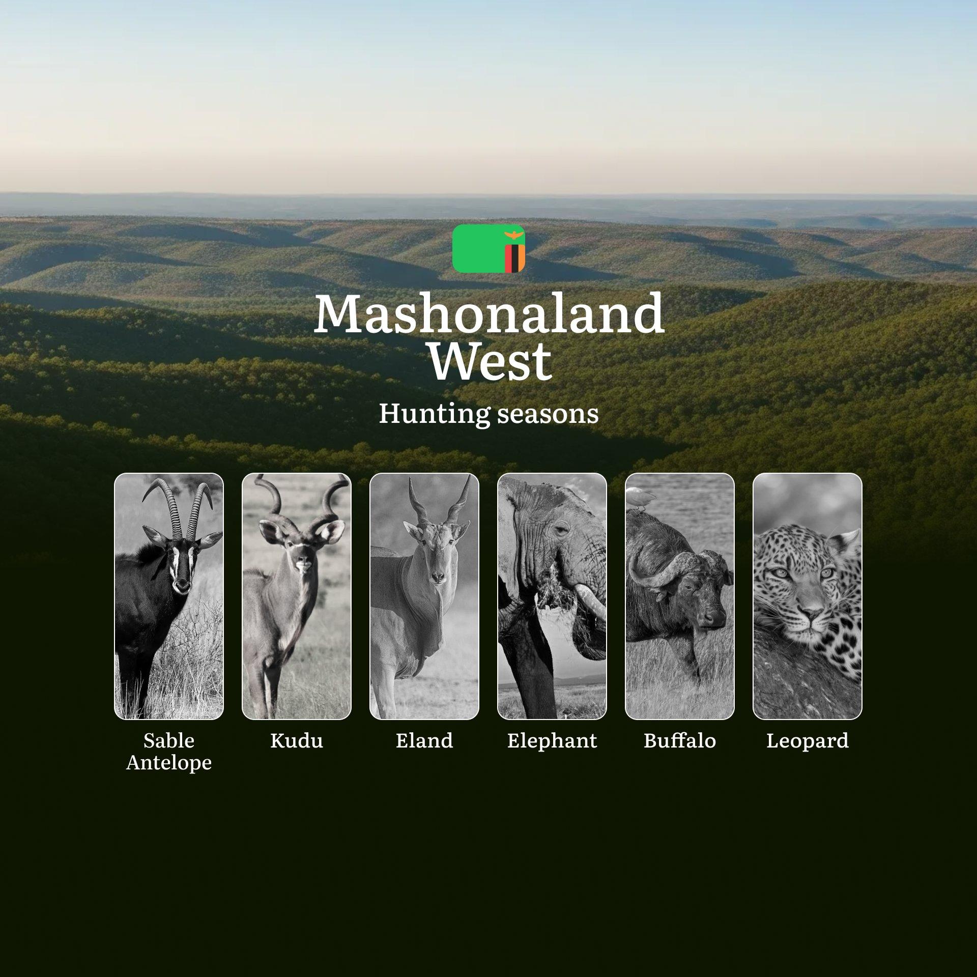 When the Miombo Whispers and Kariba Calls: Mashonaland West's Seven-Month Hunting Seasons, Events and Regulations
