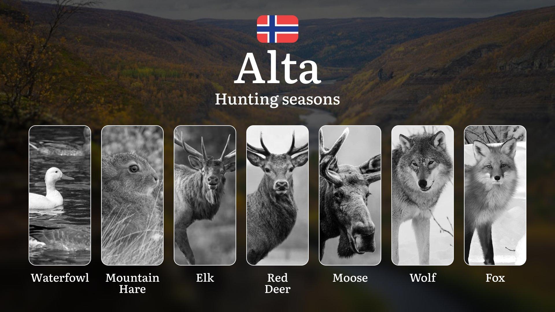 Hunting Seasons in Alta: Regulations, Permits, and Time for Hunting, Documents and Organizations