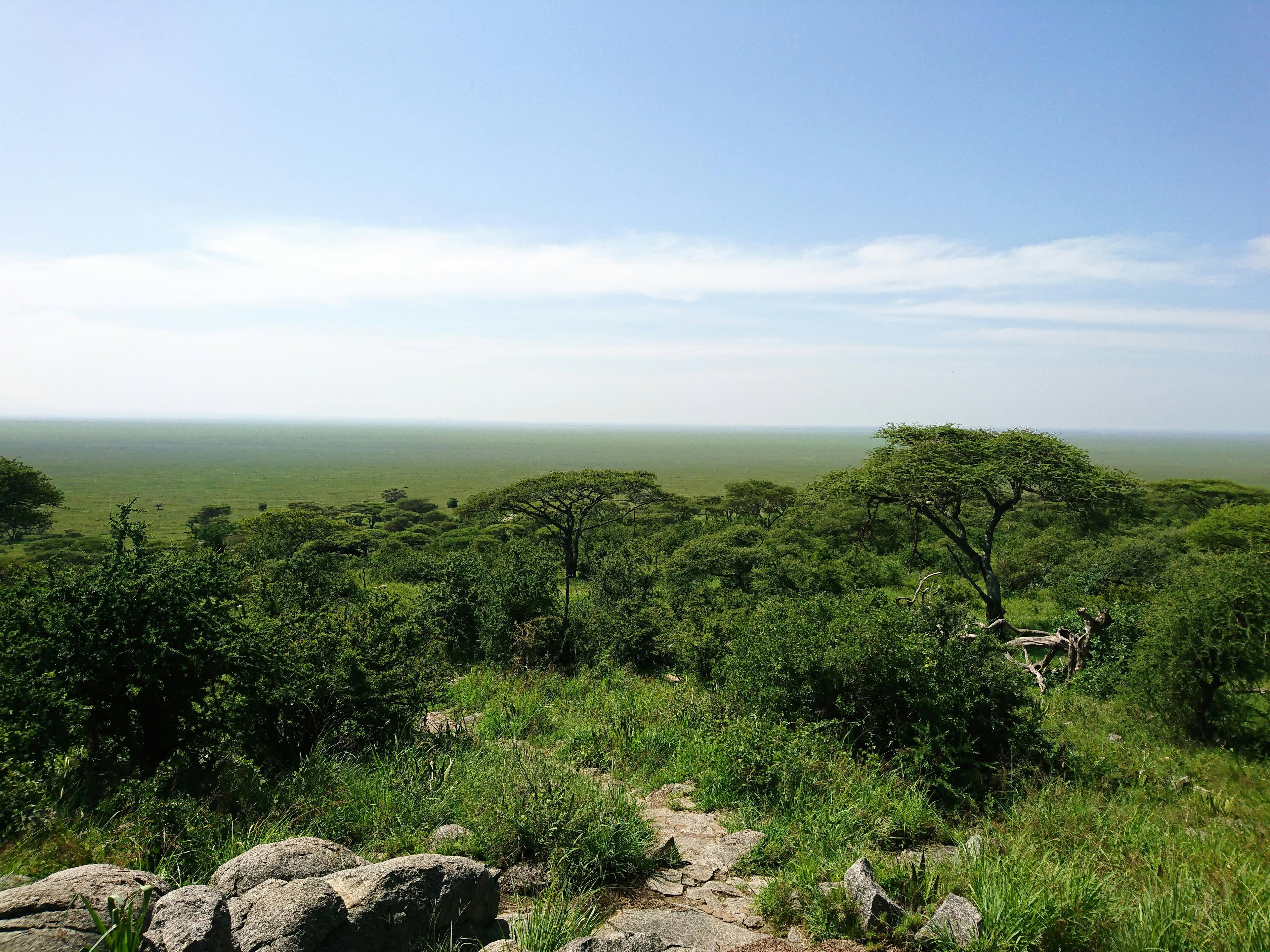 Hunting in Central Province, Zambia: Exploring Unique African Safari Opportunities, Demographics of Hunters in Central Province, Key organizations
