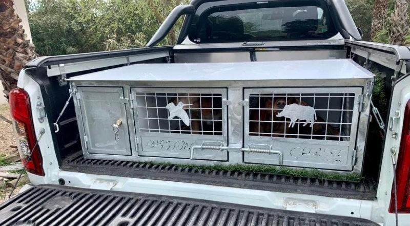 A-VENDRE  caisse pickup pour chiens de petites taille 