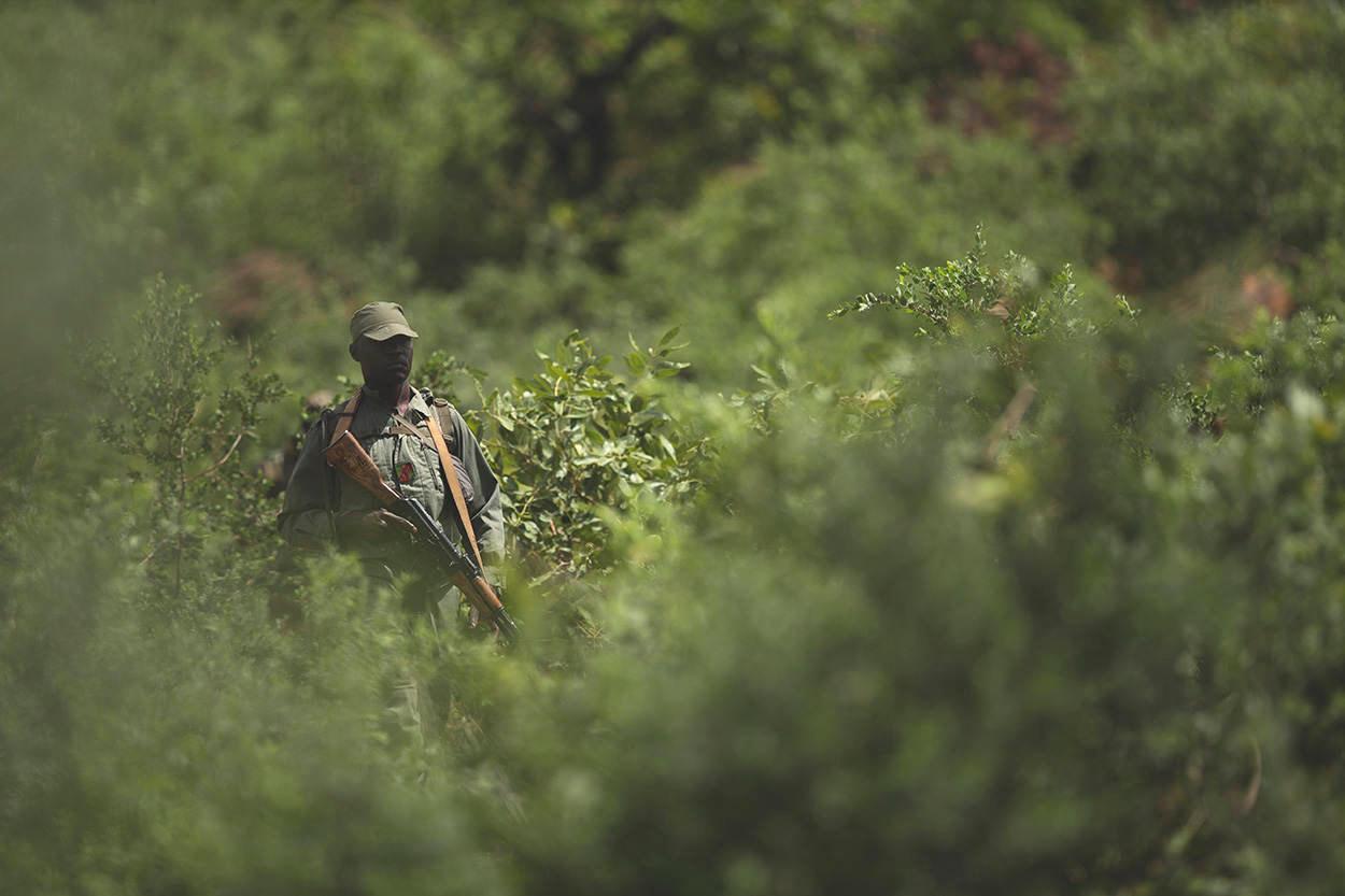 Koulikoro: West Africa’s Hidden Gem for Hunters – Exploring Savannahs, Riverine Riches, and Cultural Traditions in Mali’s Premier Hunting Region