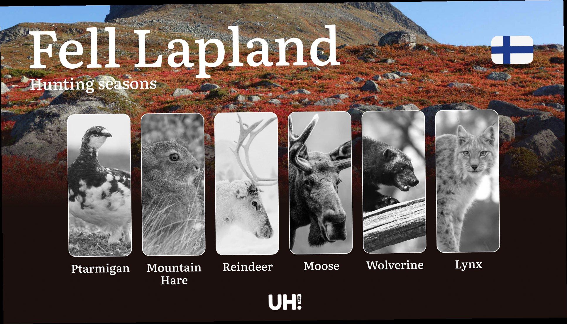 Hunting Seasons in FELL LAPLAND: Required Documents, Restrictions, General Rules, Penalties for Violating Regulations and Optimal Hunting Periods