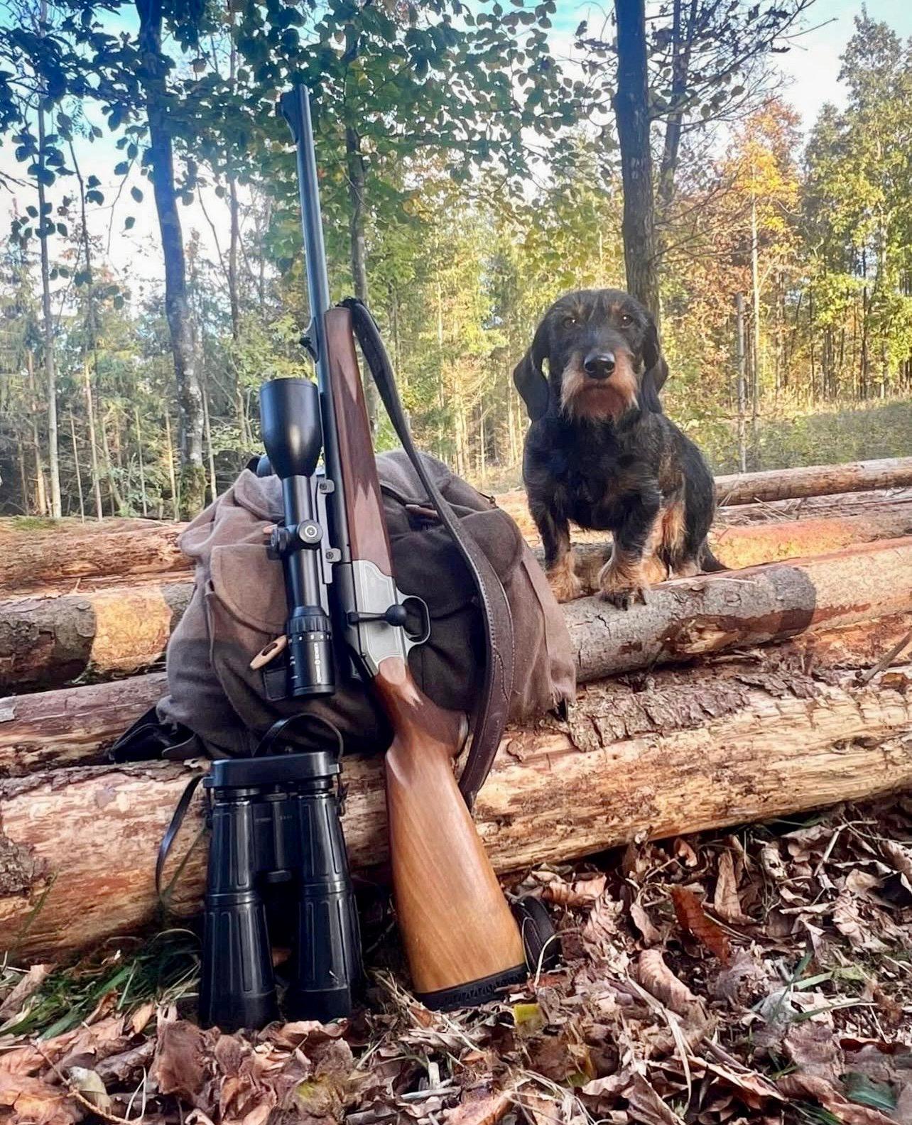 My friend is always happy to go hunting 🐕