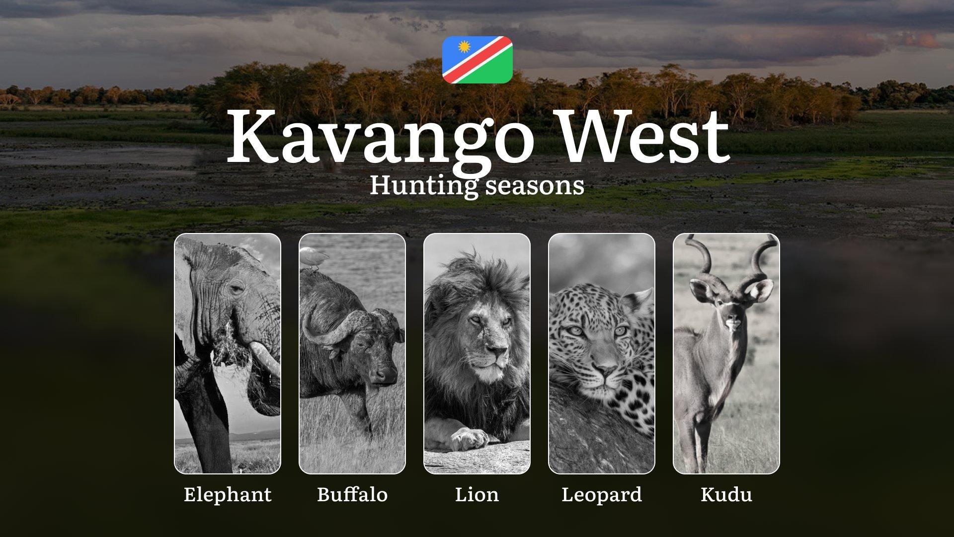Hunting Seasons in Kavango West: Territorial Regulations, Getting Licensed, Legal Risks of Off-Season Activity, Insights on Planning, Choosing Equipment