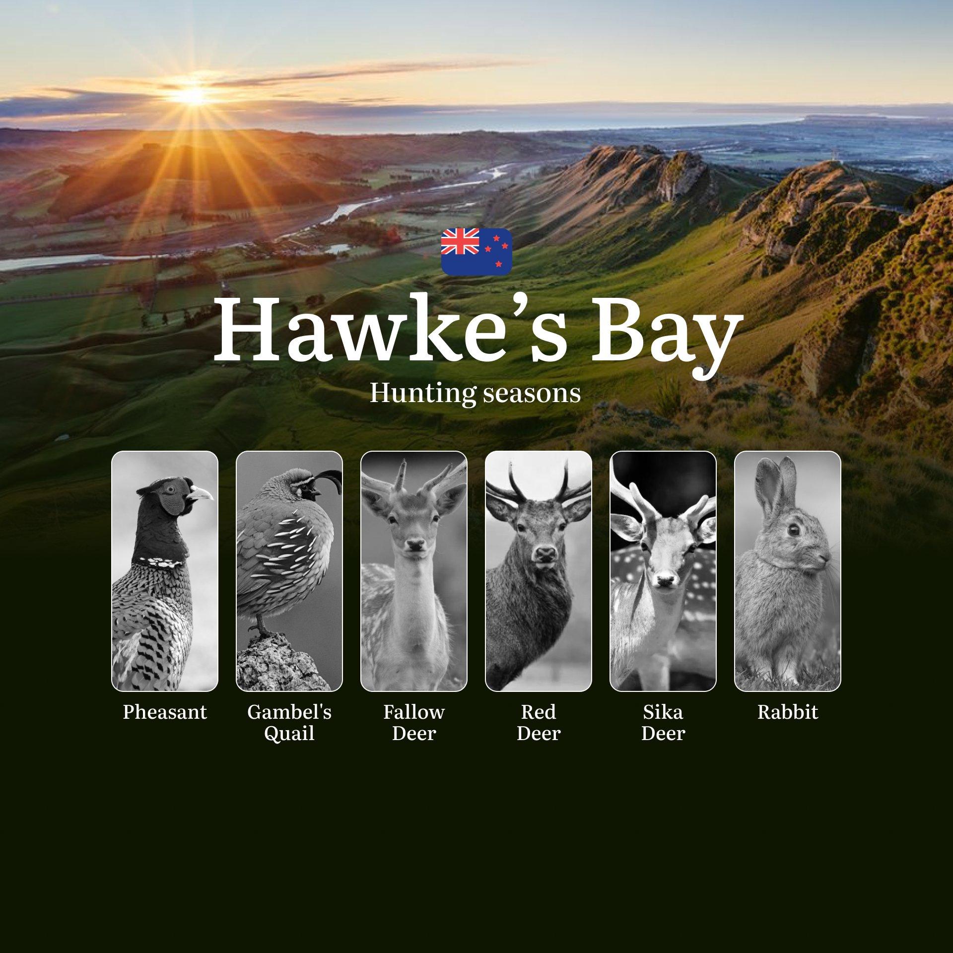 Hunting Seasons in Hawke’s Bay: How to Obtain a Hunting Permit, Timing, Gear, and Tactics for Hunting