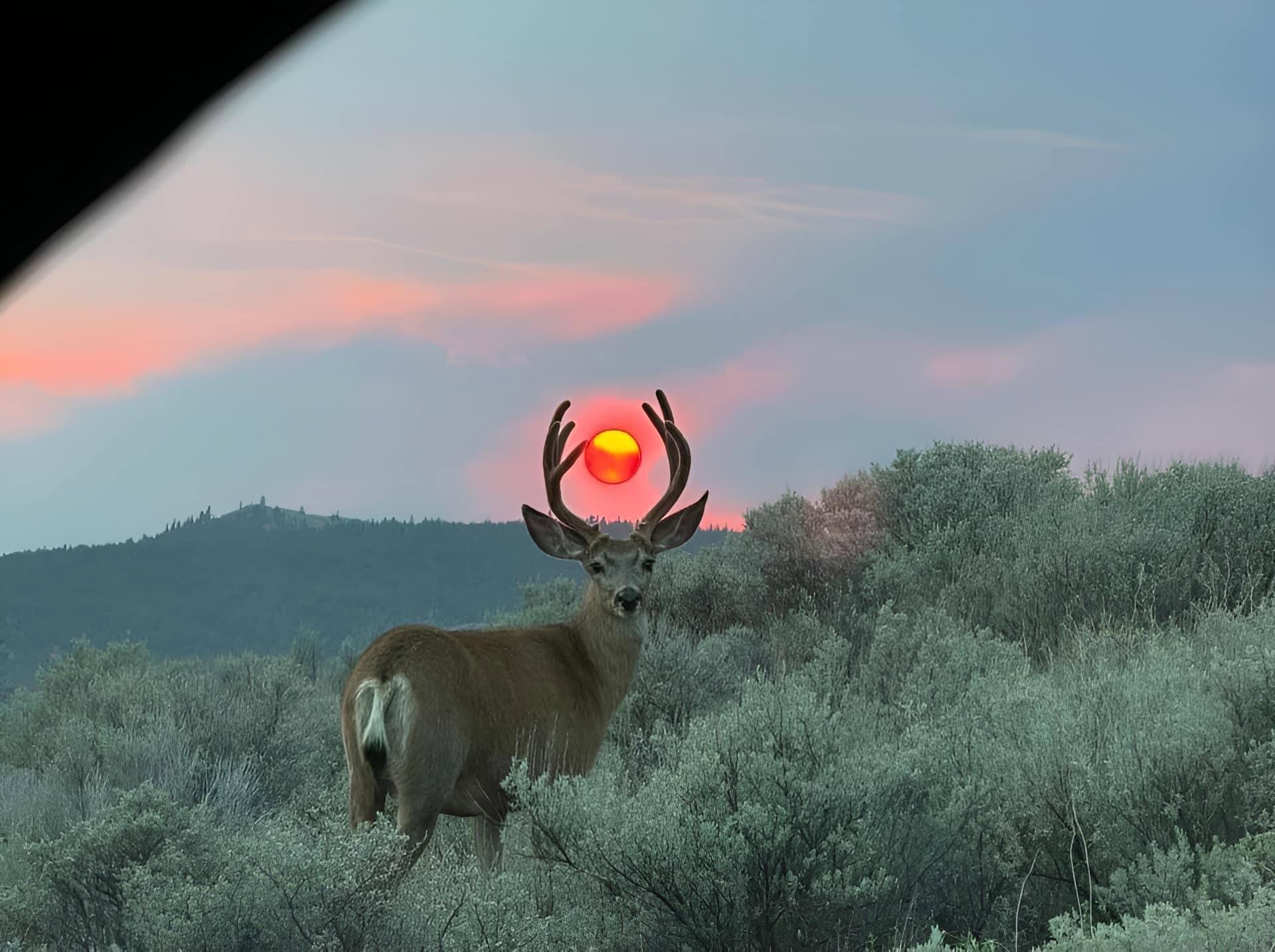 This is a photo that a photographer took hours to capture