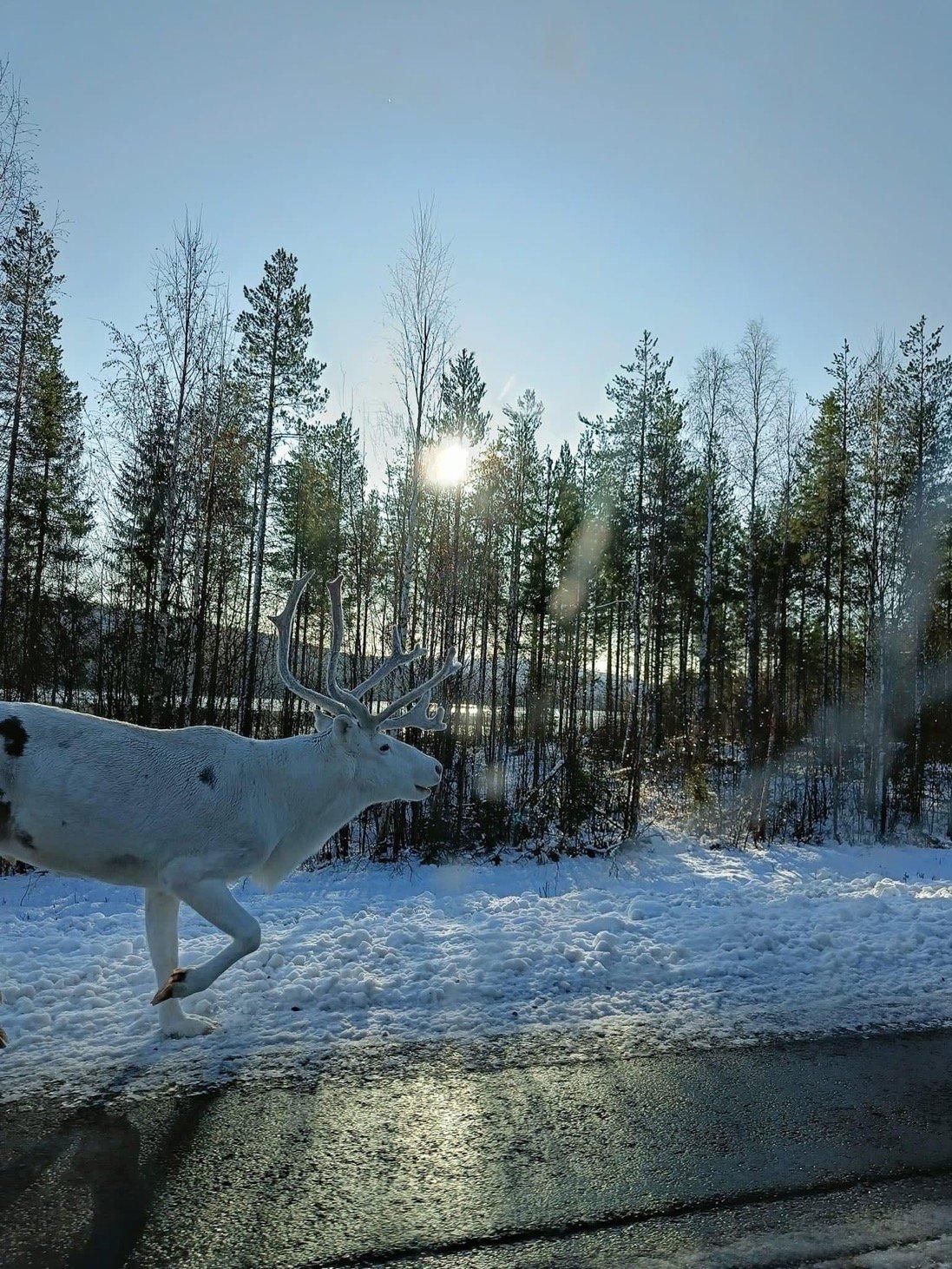 From car window.
