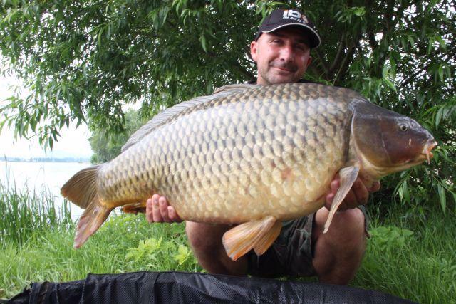 🐟 THE BEST FISHING PLACES IN GERMANY: SACHSEN-ANHALT – ELBE