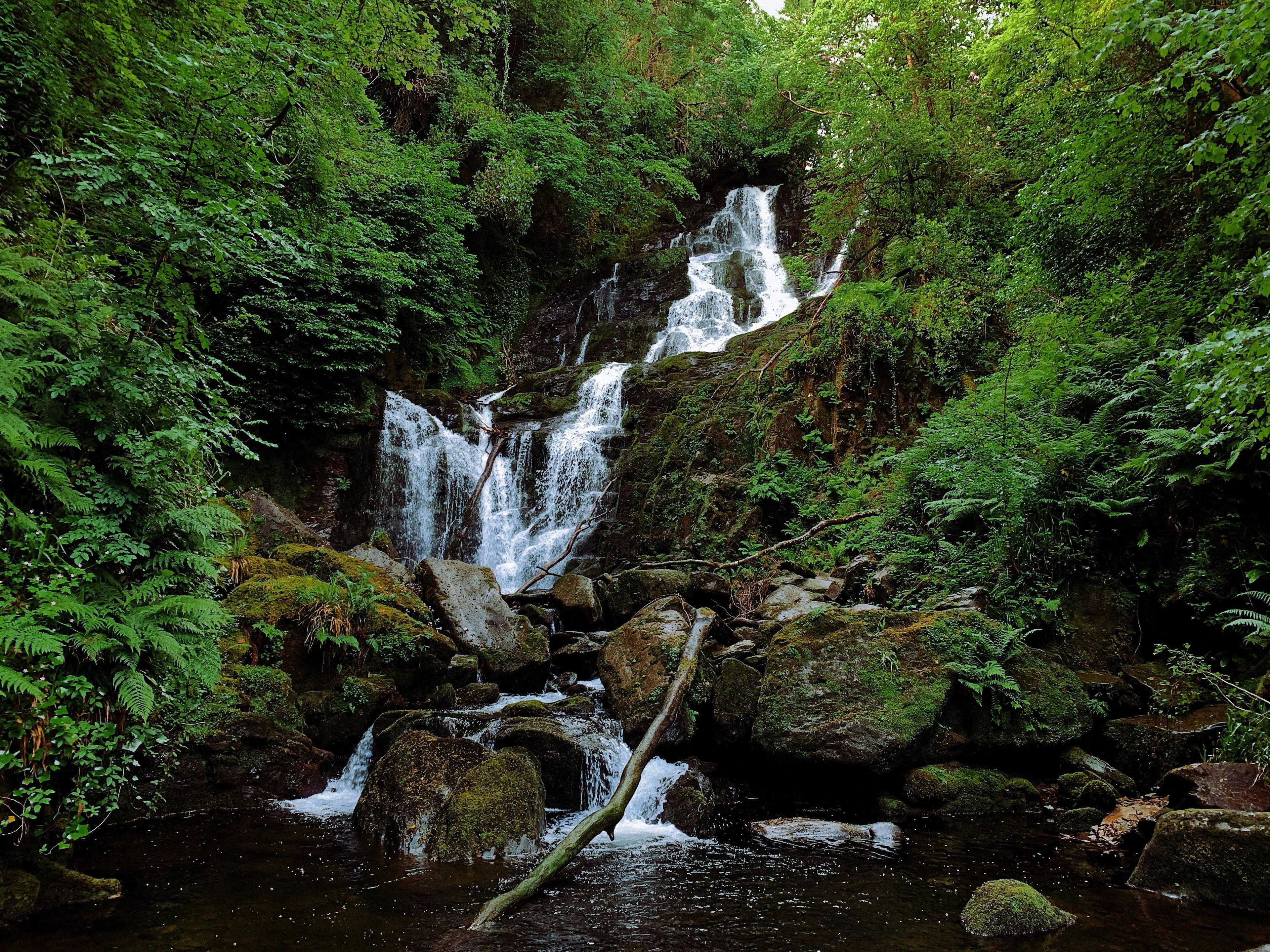 Hunting Permits in Antrim in Ulster, Ireland: A complete guide for hunters.