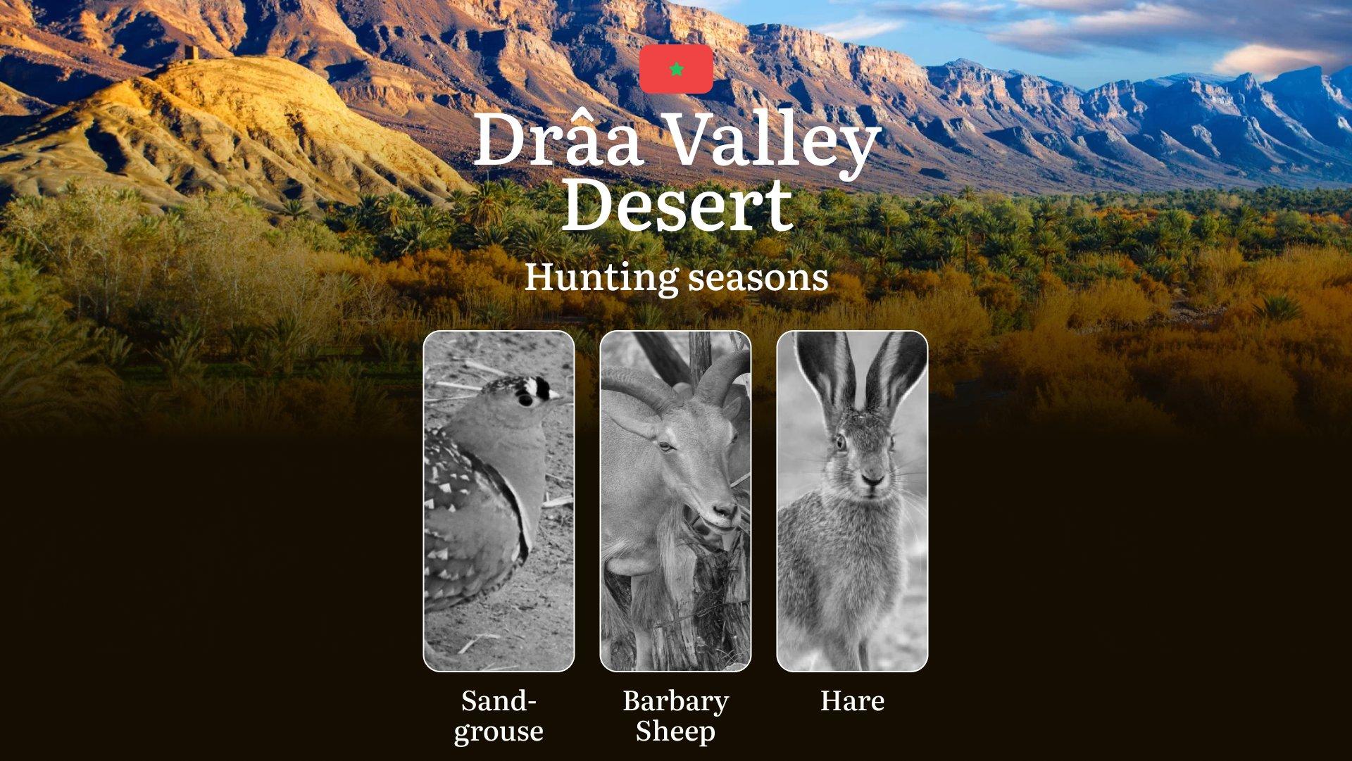 Hunting Seasons in Dakhla Desert: Regulations, Permits, and Time for Hunting, Documents and Organizations