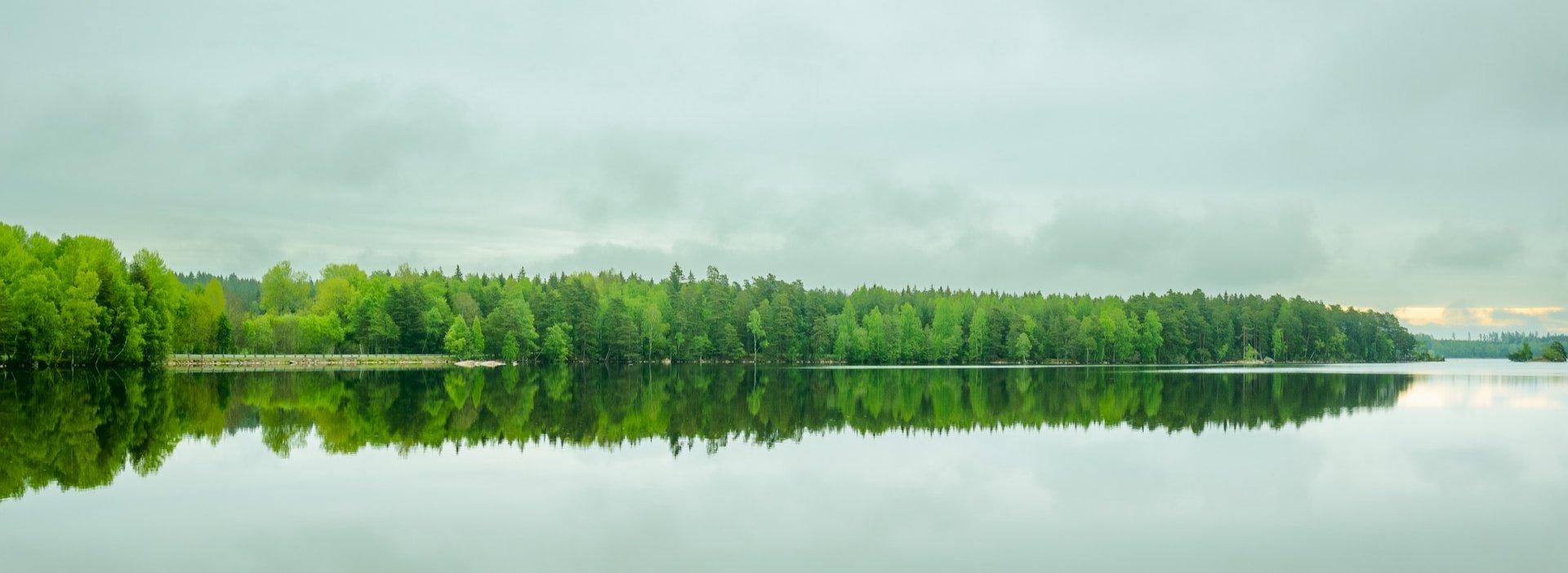  Sweden: all about hunting and fishing, news, forum. banner
