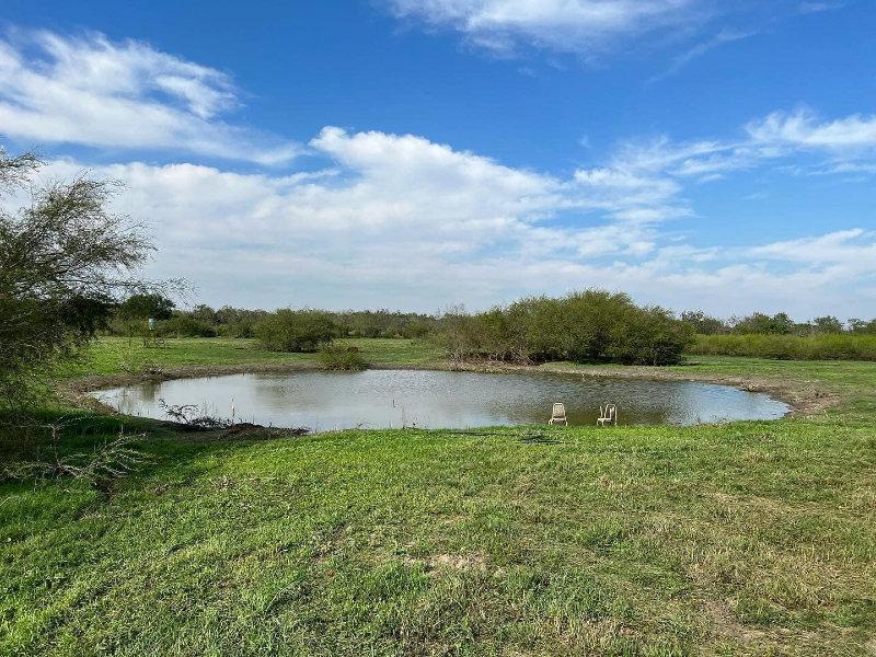 We are currently 26 days away from dove season!