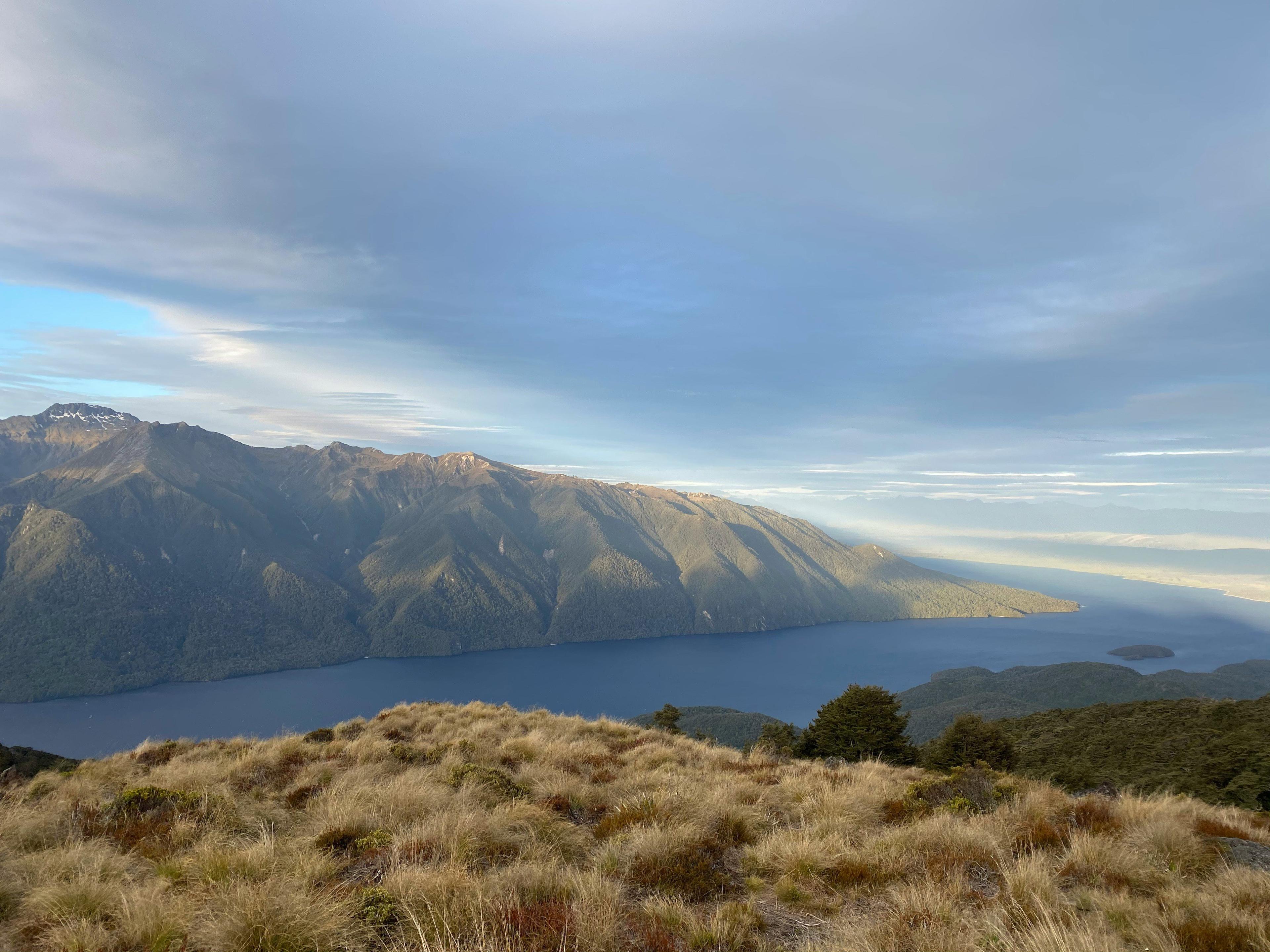 Hawke’s Bay hunting secrets: where to find the best game, hunting clubs and associations, historical traditions in the region
