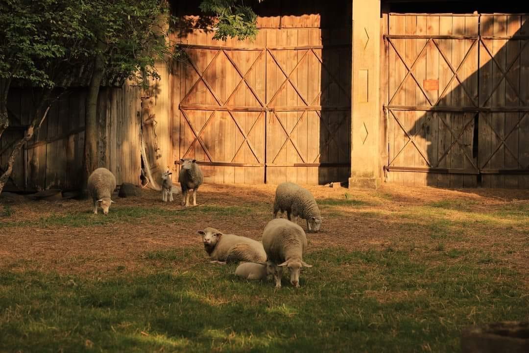This is Heaven on earth in Poland.