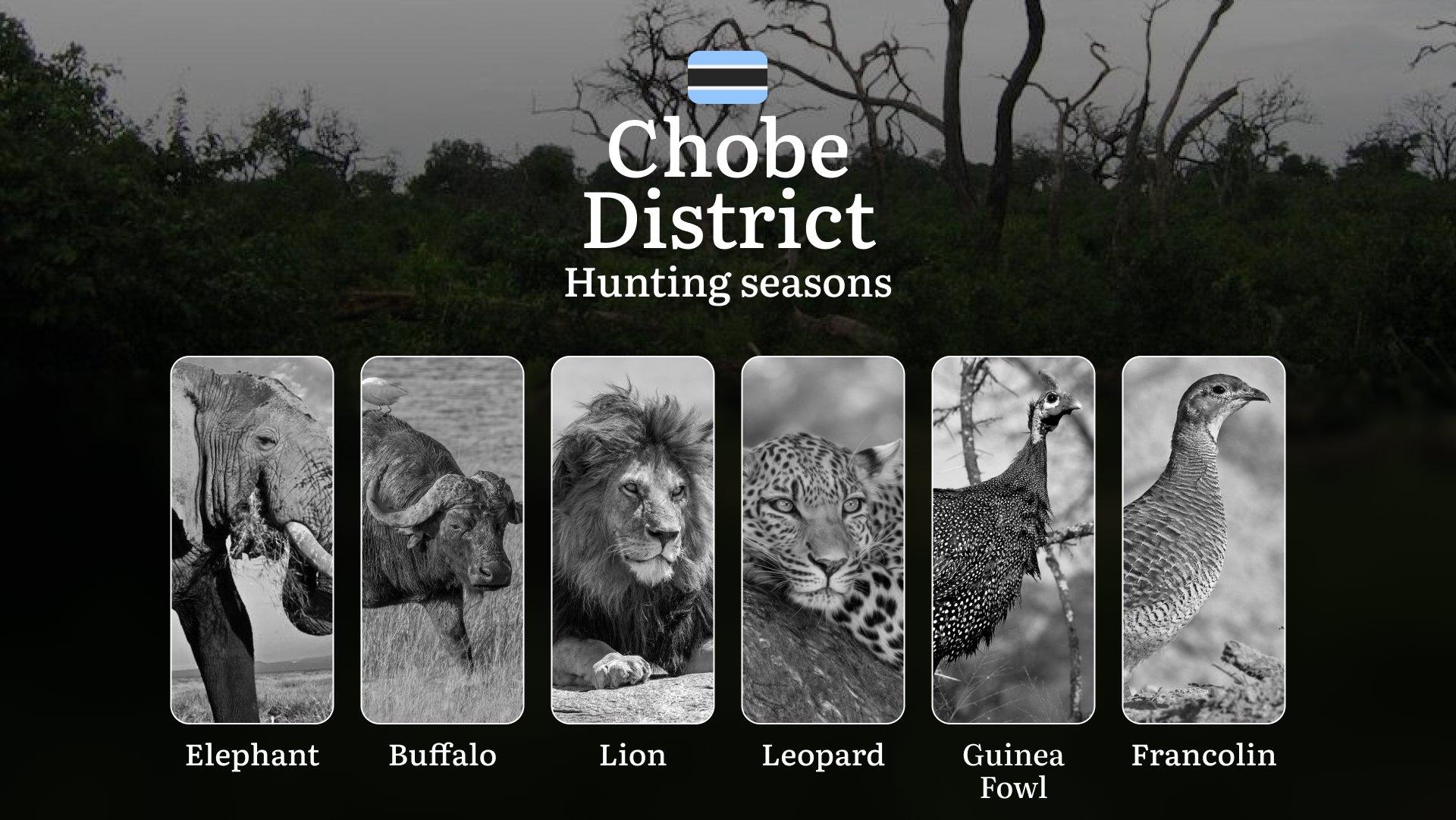 Hunting Date Ranges in Chobe District: Big and Small Game Hunting, Access Rules, Required Equipment, and Top Spots
